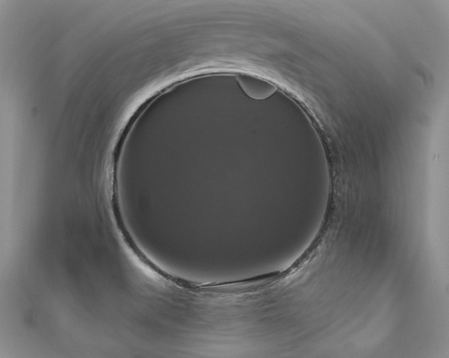 X0000111201519200907011422