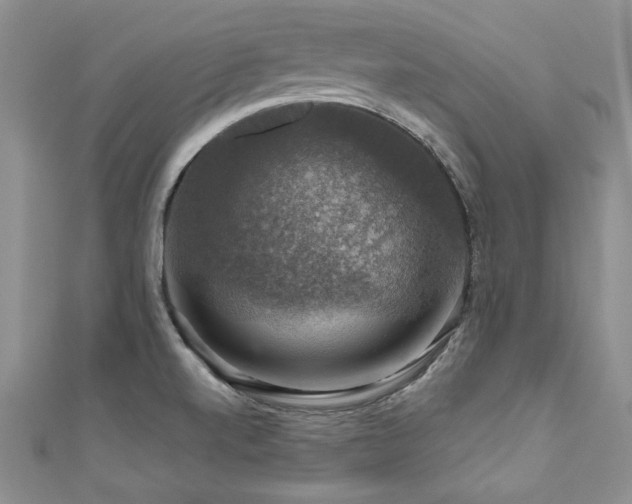 X0000111201520200907011422