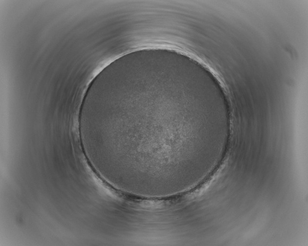 X0000111201521200907011422