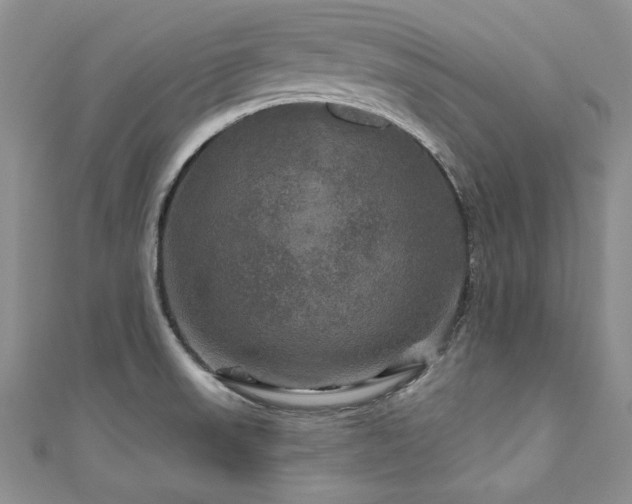 X0000111201523200907011422