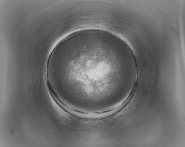 X0000111201524200907011422