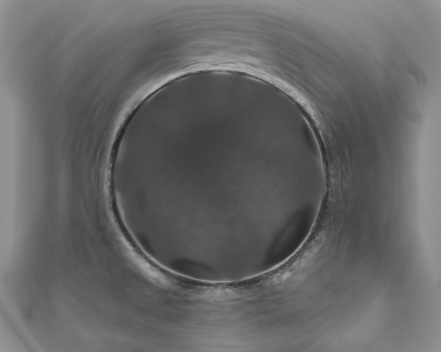 X0000111201525200907011422