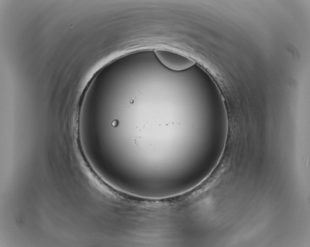 X0000111201526200907011422