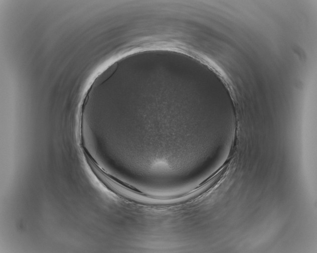 X0000111201528200907011422