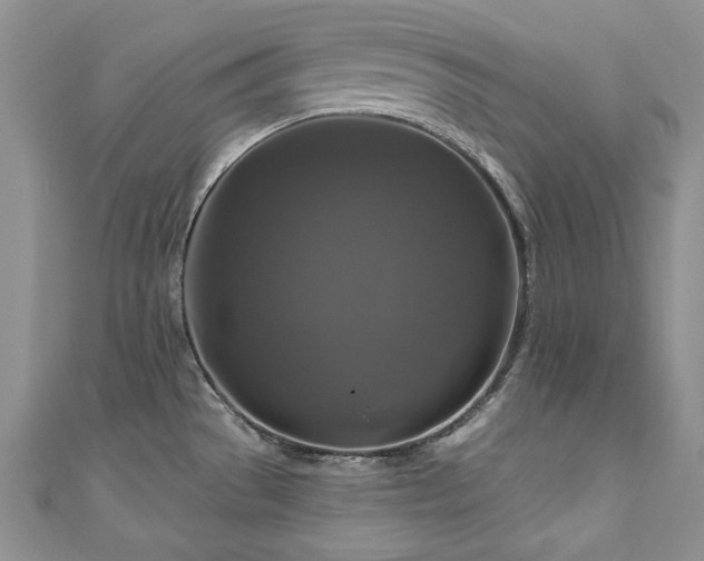X0000111201529200907011422
