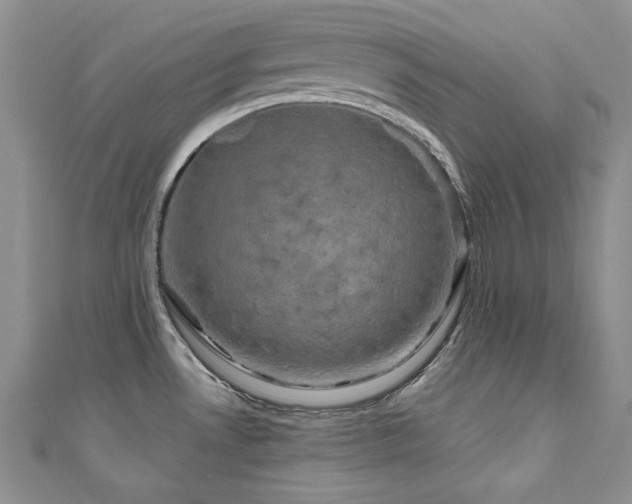 X0000111201530200907011422