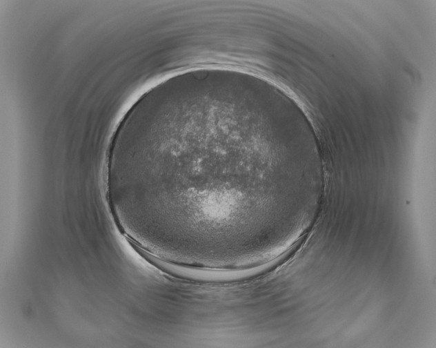 X0000111201531200907011422