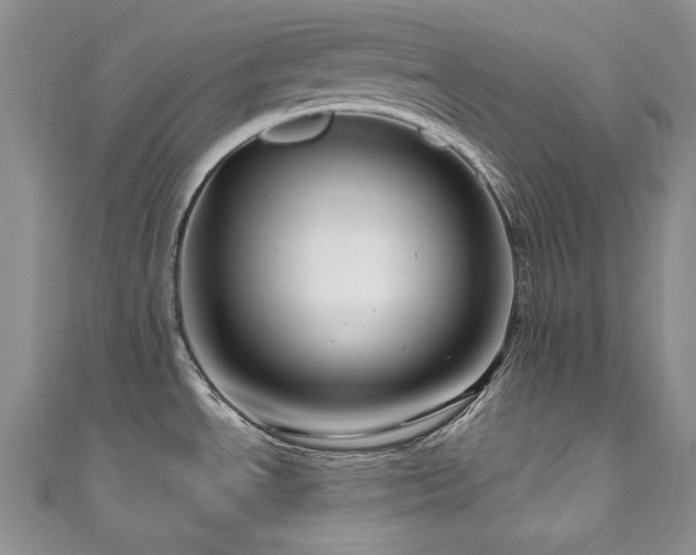 X0000111201534200907011422