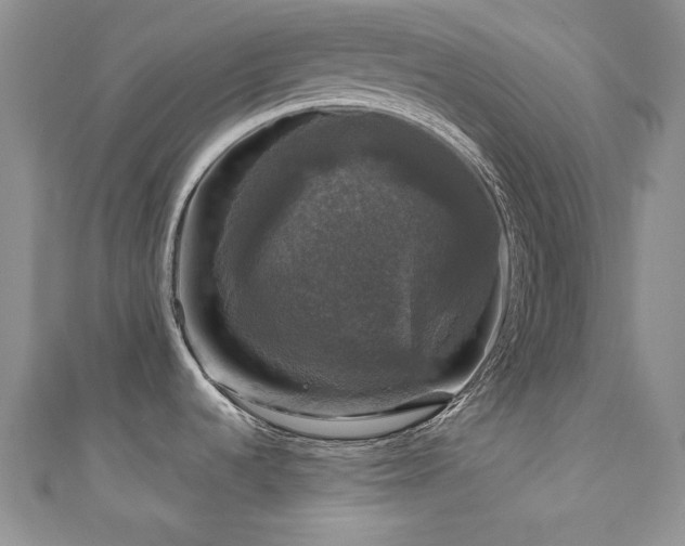 X0000111201536200907011422