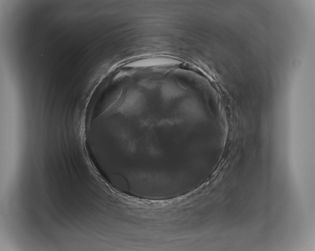 X0000111200002200907081251