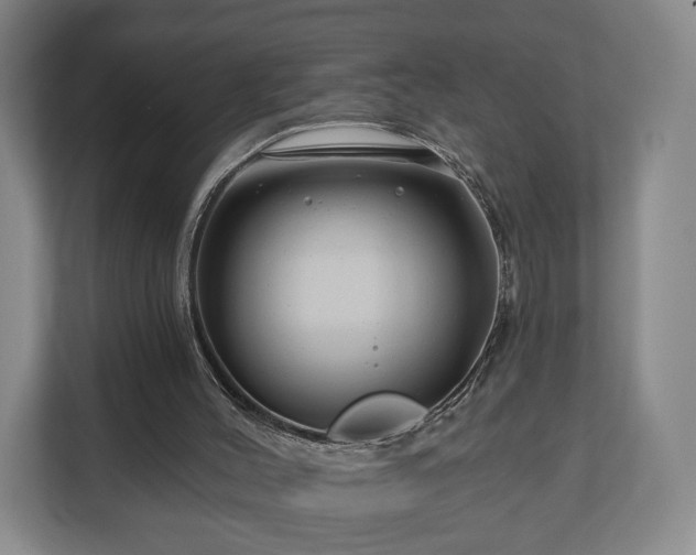 X0000111200004200907081251