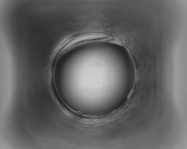 X0000111200005200907081251