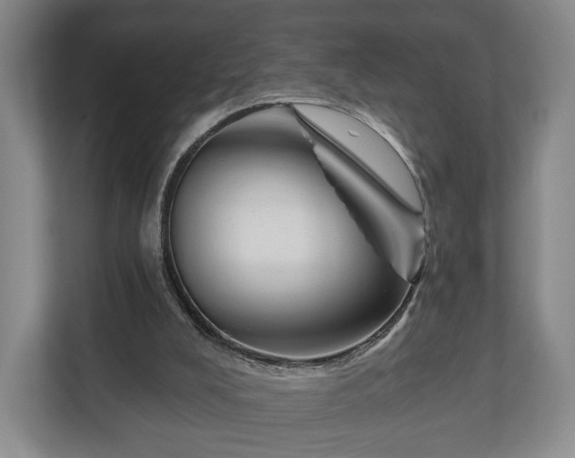 X0000111200008200907081251