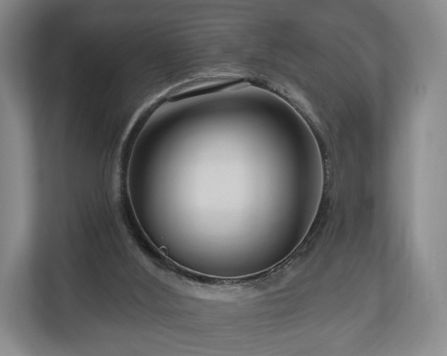 X0000111200012200907081251