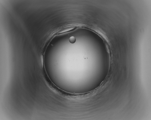 X0000111200013200907081251