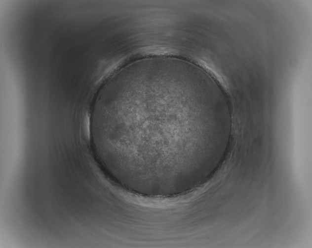 X0000111200014200907081251