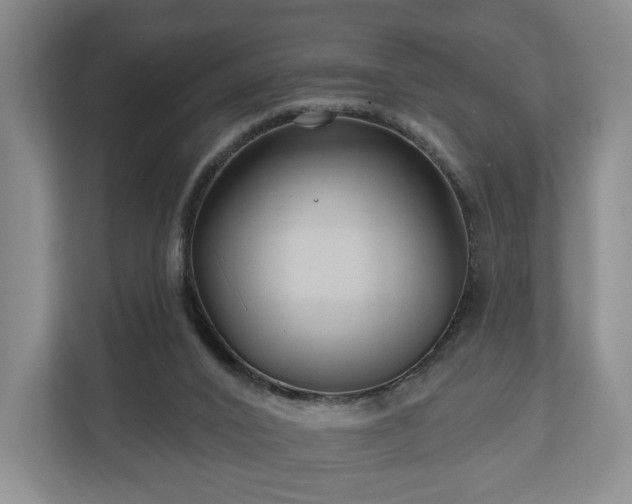 X0000111200016200907081251