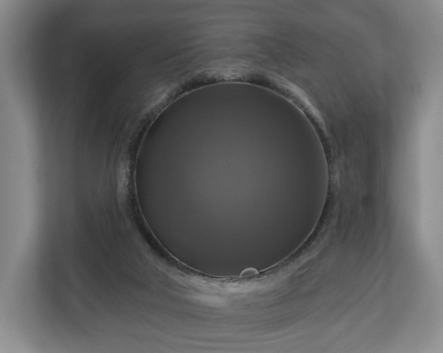 X0000111200018200907081251