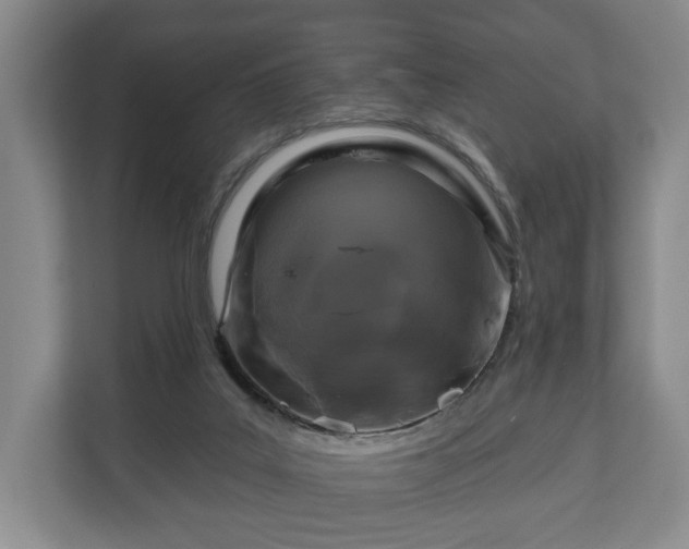 X0000111200019200907081251