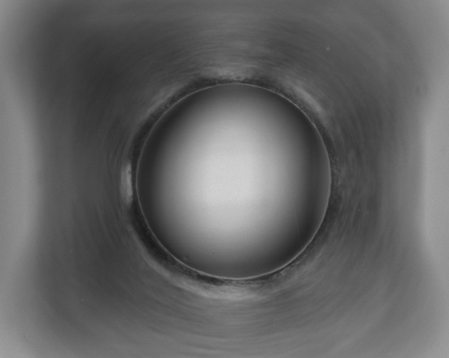 X0000111200020200907081251