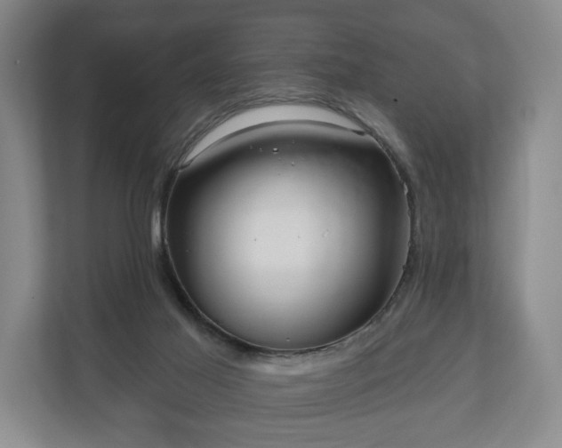 X0000111200021200907081251