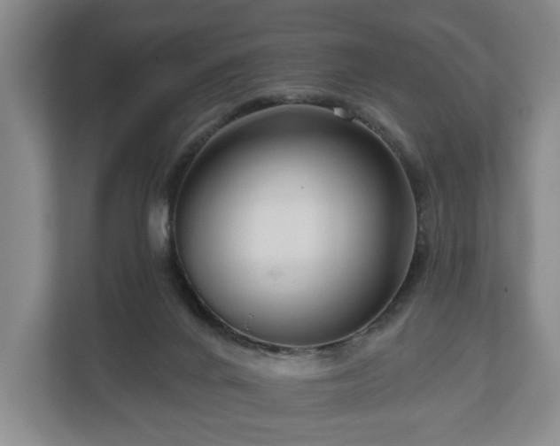 X0000111200024200907081251