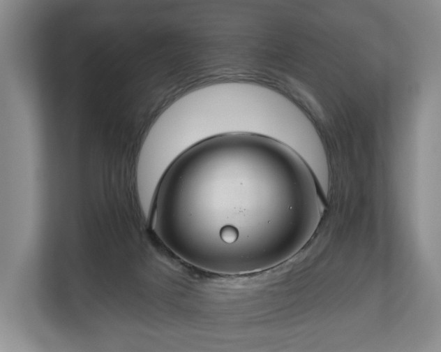 X0000111200025200907081251