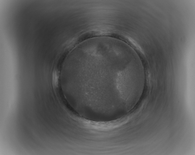 X0000111200026200907081251