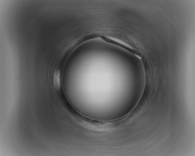 X0000111200028200907081251