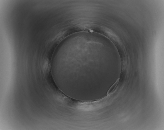 X0000111200029200907081251