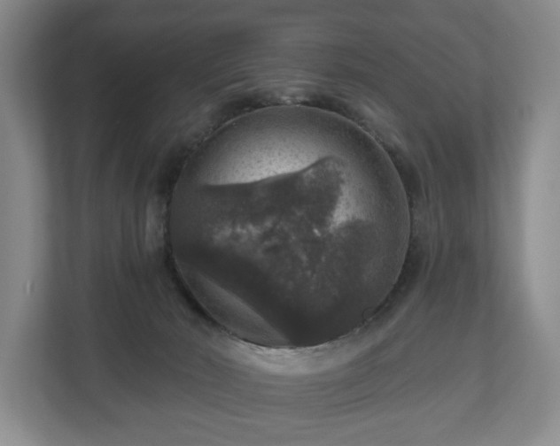 X0000111200030200907081251