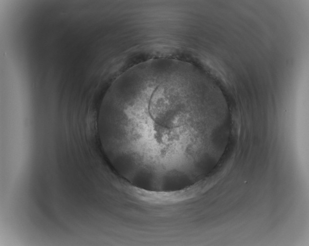 X0000111200034200907081250