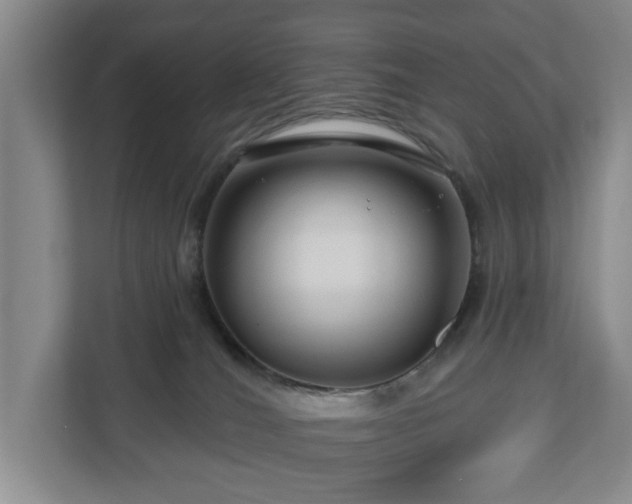 X0000111200036200907081250