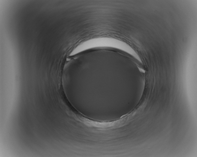 X0000111200039200907081250