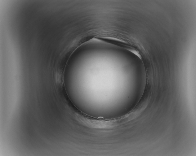 X0000111200044200907081250