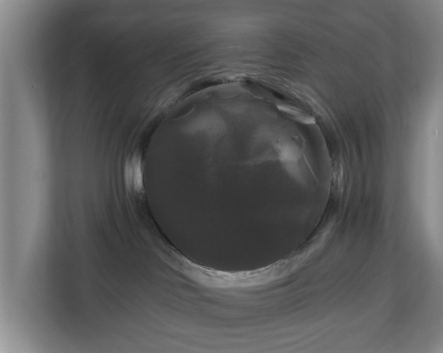 X0000111200046200907081250