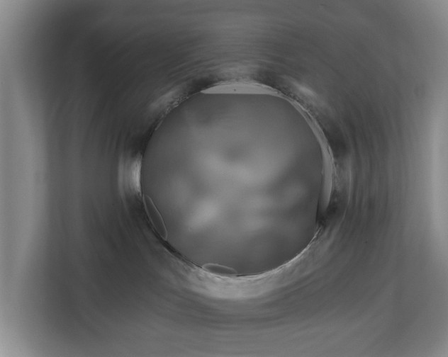 X0000111200047200907081250