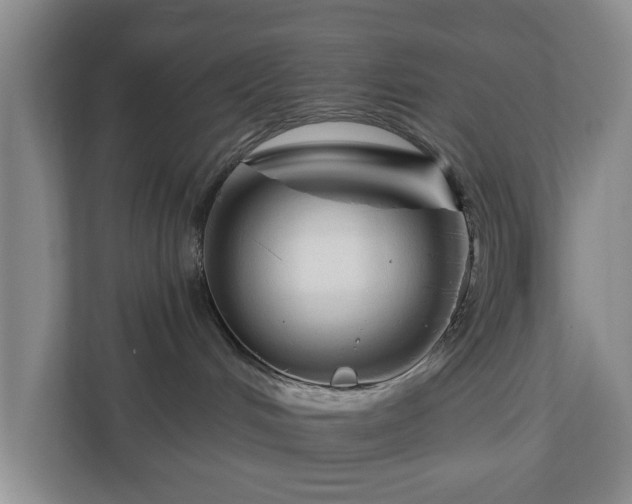 X0000111200048200907081250