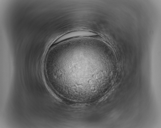 X0000111200049200907081250