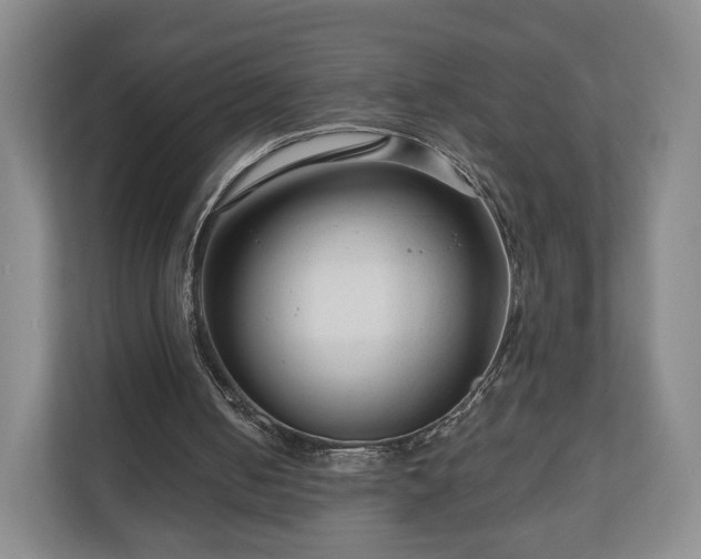 X0000111200050200907081250