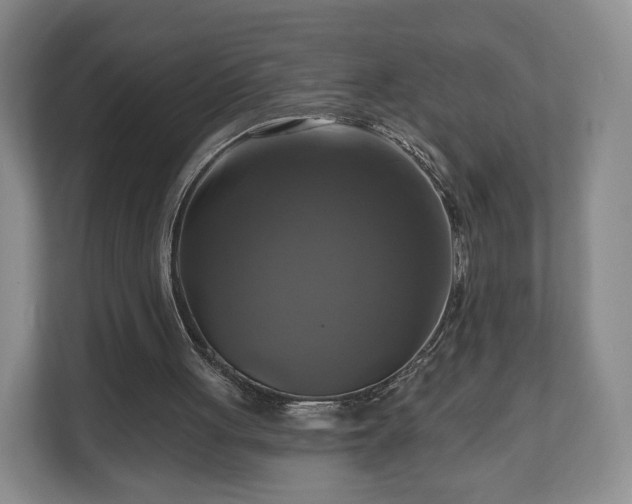 X0000111200051200907081250