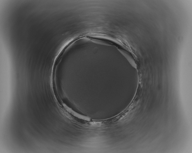 X0000111200052200907081250