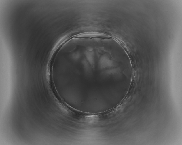 X0000111200053200907081250