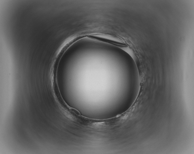 X0000111200054200907081250