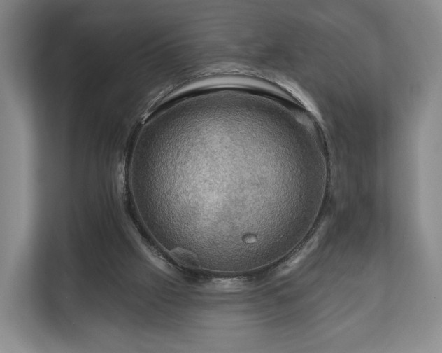 X0000111200057200907081250