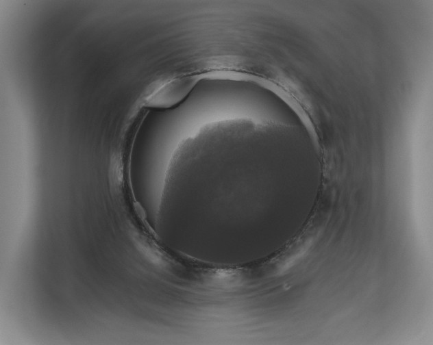 X0000111200060200907081250