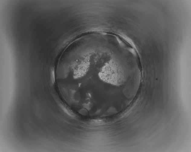 X0000111200061200907081250