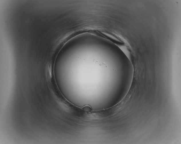 X0000111200062200907081250