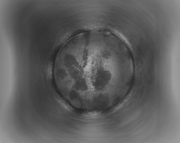 X0000111200065200907081250