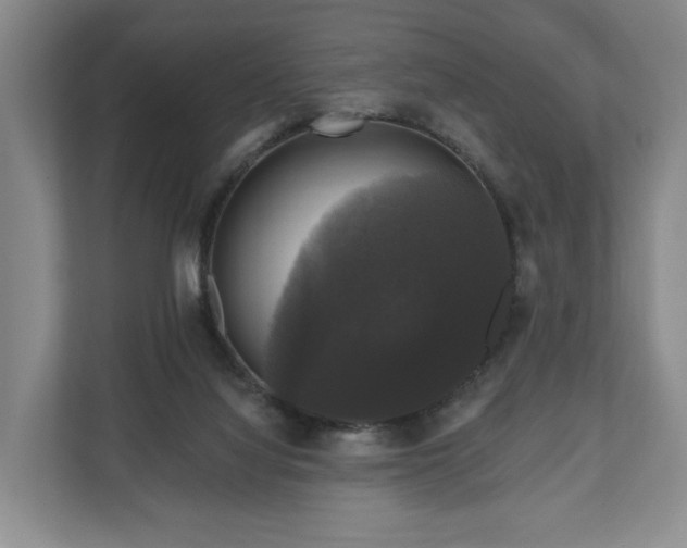 X0000111200068200907081250